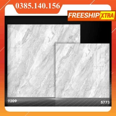 Gạch 80x80 Tasa-Fushita 9209 màu xám