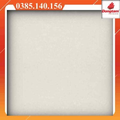 Gạch Đồng Tâm 6060DB034-Nano