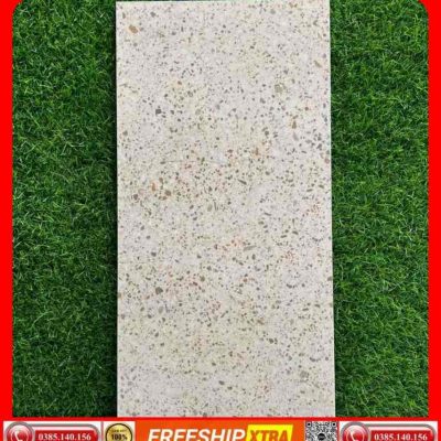Gạch 30x60 Terrazzo 36428 đá mờ VIN36T01