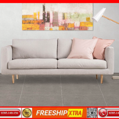 Gạch 60x60 Eurotile Granite An Cư ANC-H04 xám mờ mịn
