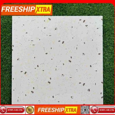 Gạch 60x60 Terrazzo 60424