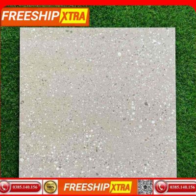 Gạch 60x60 Terrazzo 60425 màu xám nhạt VIN66T09