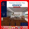 Gạch 100x100 Thắng Cường GRANCA-GA1010