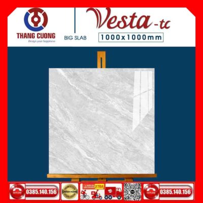 Gạch 100x100 Thắng Cường Vesta-11002
