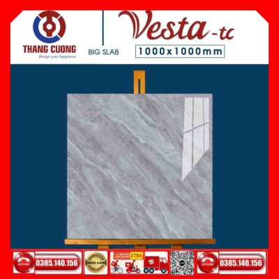 Gạch 100x100 Thắng Cường Vesta-11004