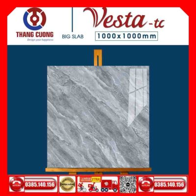 Gạch 100x100 Thắng Cường Vesta-11006