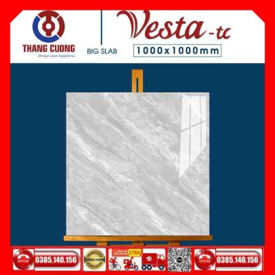 Gạch 100x100 Thắng Cường Vesta-11007