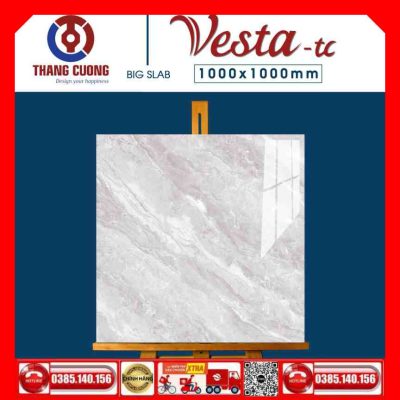 Gạch 100x100 Thắng Cường Vesta-11031