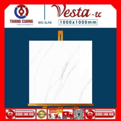 Gạch 100x100 Thắng Cường Vesta-11032