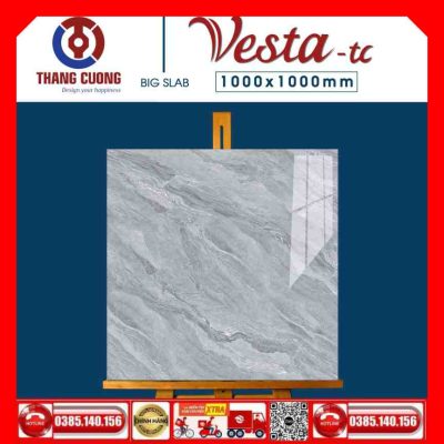 Gạch 100x100 Thắng Cường Vesta-11033