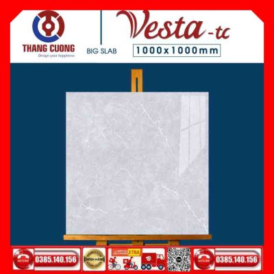 Gạch 100x100 Thắng Cường Vesta-11034