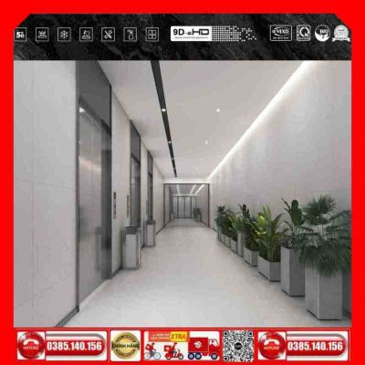 Gạch 80x80 Thắng Cường ONEMAX-OM8805