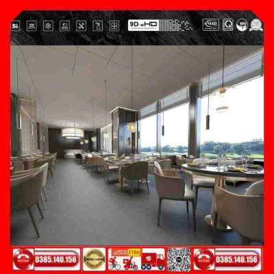 Gạch 60x60 Thắng Cường ONEMAX-OM6806