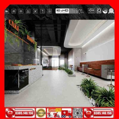 Gạch 60x60 Thắng Cường Vesta V6503